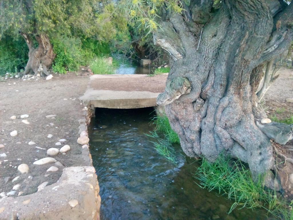 Grysbok Self Catering Accommodation Oudtshoorn Eksteriør billede