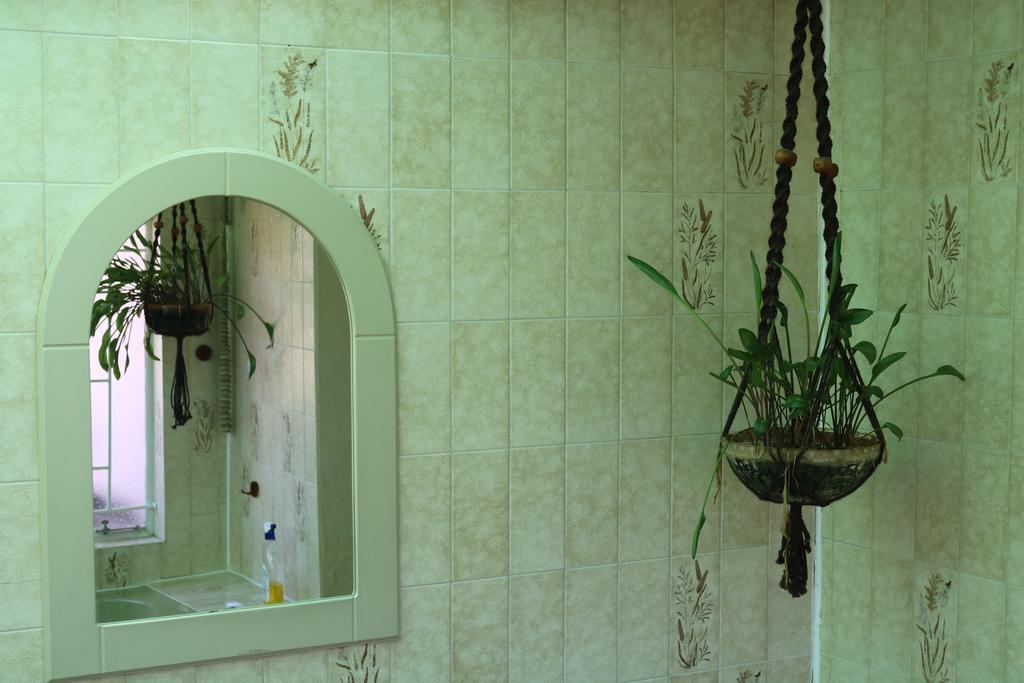 Grysbok Self Catering Accommodation Oudtshoorn Eksteriør billede