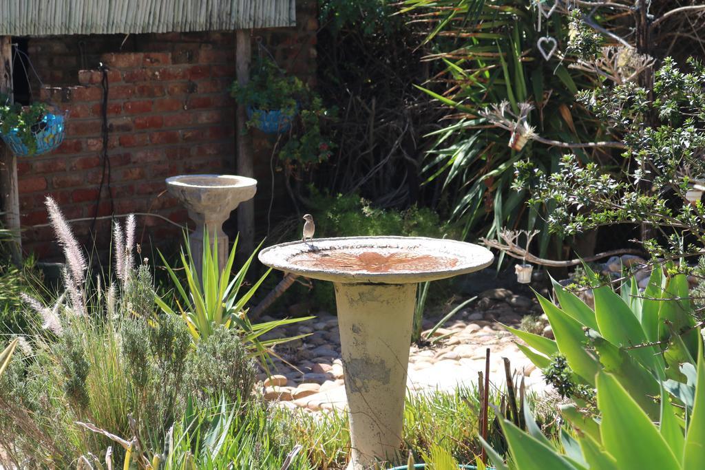 Grysbok Self Catering Accommodation Oudtshoorn Eksteriør billede