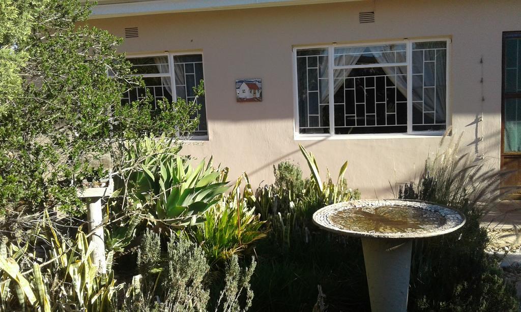 Grysbok Self Catering Accommodation Oudtshoorn Eksteriør billede